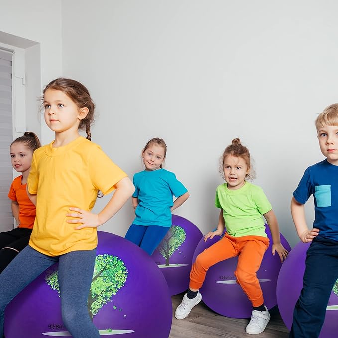 bintiva Exercise Ball