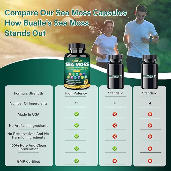 Organic Sea Moss Capsules with Black Seed Oil, Ashwagandha, Bladderwrack, Ginger & Burdock Root – Herbal Complex for Daily Wellness – 60 Capsules (1 Pack)