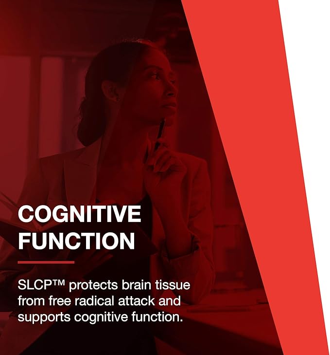 PROTOCOL FOR LIFE BALANCE Cogumin SLCP 400mg Curcumin - Neurological Support - with Curcuma Longa Extract - Cognitive Support Supplement - Vegan-Friendly & Non-GMO - 50 Veg Capsules