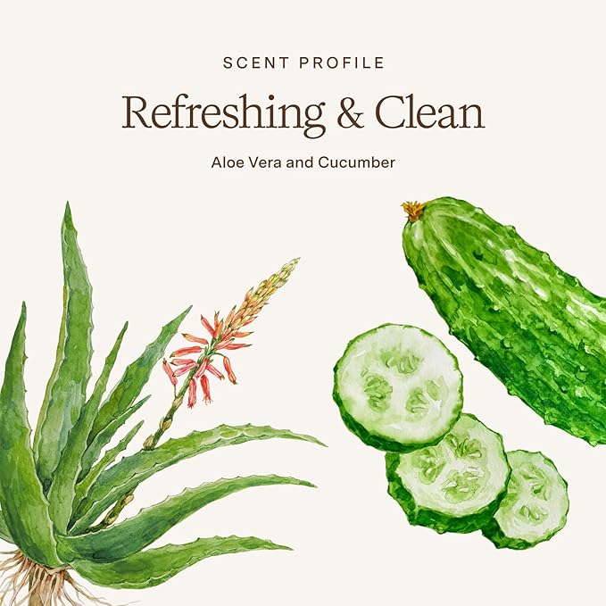 Rahua Aloe Vera Shampoo, Vegan Clarifying Shampoo for Women, Color Safe Hair Care with Aloe Vera, Cucumber Extract, Witch Hazel Oil, Sulfate Free, Balances Oil, Soothes Dry Scalp, 9.3 Fl Oz