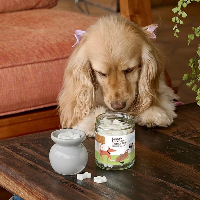 9oz Pet Odor Eliminator Wax Melts, Long-Lasting Lavender Scented, Non Toxic, Pets Odor Eliminating Wax Cubes, Natural Plant-Based Wax Blend