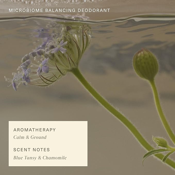 Oak Essentials Microbiome Balancing Deodorant | Aluminum-Free Deodorant with Blue Tansy for All-Day Odor Protection, 1.7 Oz