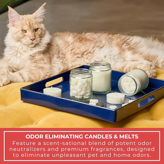 9oz Pet Odor Eliminator Wax Melts, Long-Lasting Apple Spiced Scented, Non Toxic, Pets Odor Eliminating Wax Cubes, Natural Plant-Based Wax Blend