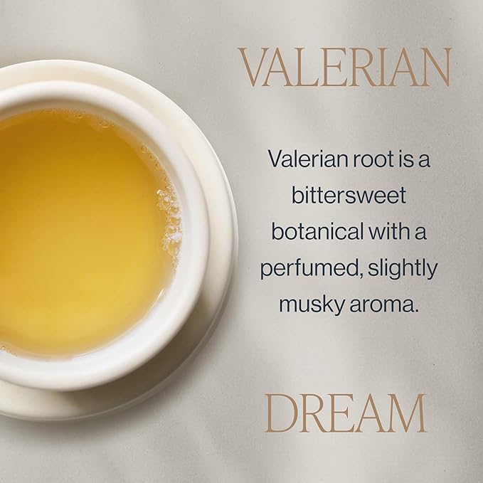 Rishi Tea Valerian Dream Herbal Tea - Organic Sachet Tea Bags, Sleep Friendly, Caffeine Free, Calming Botanical Blend with Valerian Root - 15 Count (Pack of 1)