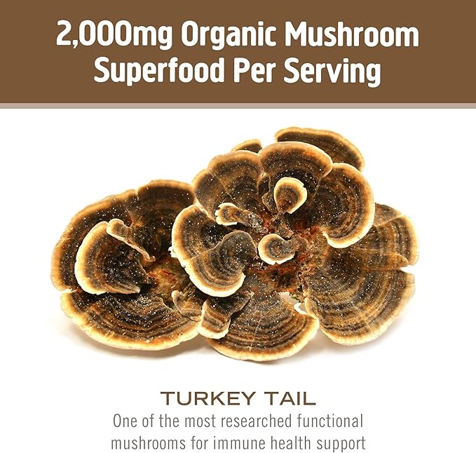 Om Mushroom Superfood Turkey Tail Organic Mushroom Powder, 3.5 Ounce, 50 Servings, Immune Support, Polysacchrides, Beta-Glucans, Gut Health & Holistic Defense Mushroom Supplement