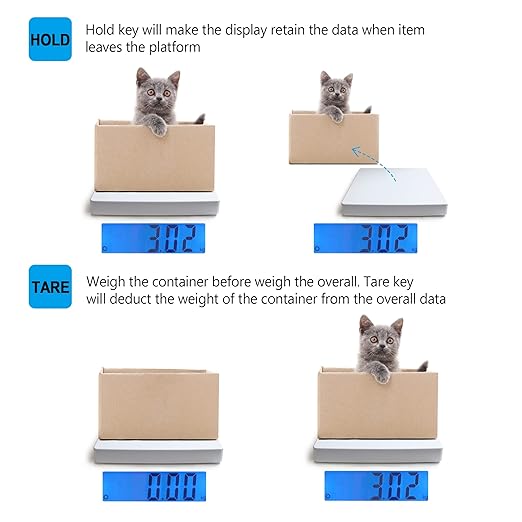 Digital Scales for Body Weight Heavy Duty for Hospital & Physician Use, Large Digital Display and Base, Desktop & Suspended Display Screen with Bracket, Weigh Up to 660lbs/300kg (White, DT-550)