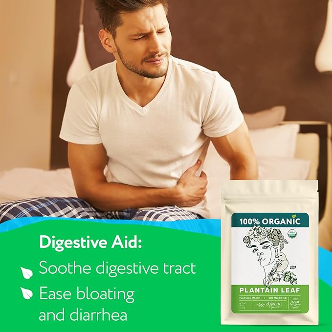 Plantain Leaf Organic (4 oz.) โ Broadleaf Plantain Tea Loose Leaf (Plantago Major) โ Llanten Planta Medicinal - Herbal Tea for Digestion, Respiratory Health & Detox
