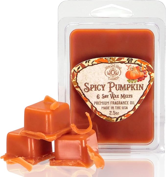 Scented Wax Melts - Highly Fragrant Air Freshener - 4 Pack Set of 6 Melt Cubes (4, Spicy Pumpkin)