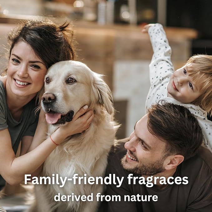 Santal Essential Oils for Diffusers for Home, Nature-derived Sandalwood Essential Oils, Long-Lasting & Family-Friendly Diffuser Oils Scents, IFRA Certified, Cold Air & Ultrasonic - 4 oz