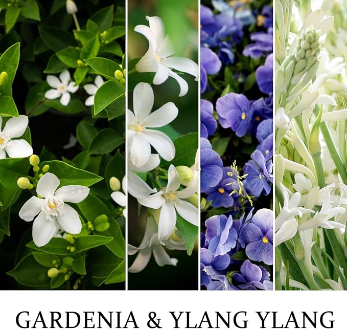 Scented Candles for Women,Gardenia & Ylang Ylang Scented Candles,7oz Hand-Poured for Serene Bedrooms & Spa Baths,Long-Lasting Floral Escape, Perfect for Meditation & Romantic Evenings