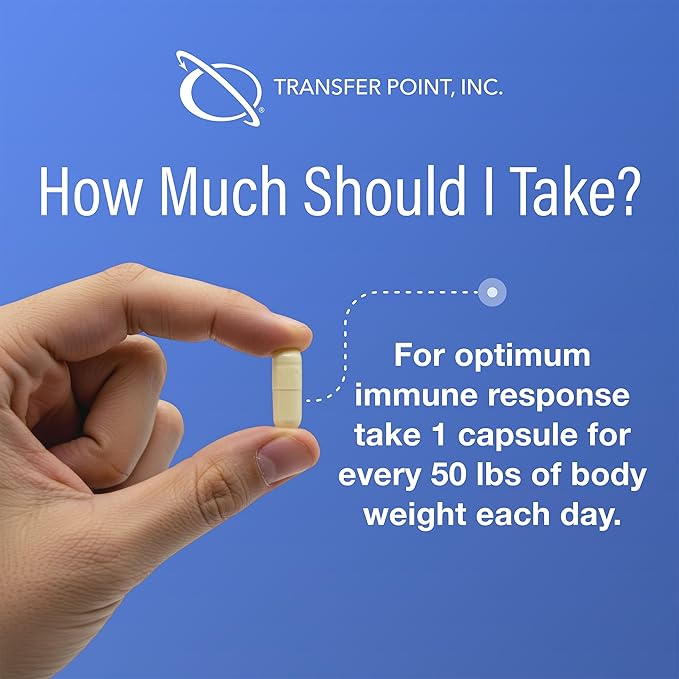 Transfer Point Immune Support Supplement Highly Purified Beta 1,3D Glucan (Pack of 3-500 mg b-glucan Fiber per Capsule)