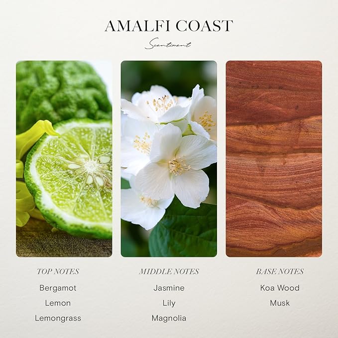 Scentiment Diffuser Oil - Amalfi Coast | Aromatherapy Fragrance | Inspired by W Hotels® | Notes of Bergamot, Lemongrass, Jasmine, Lily, Magnolia & Koa Wood (20 mL)