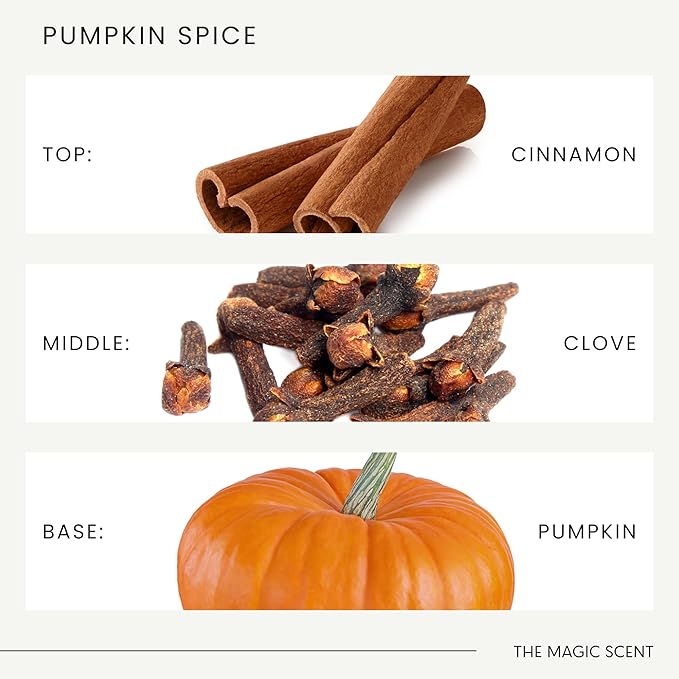 The Magic Scent Pumpkin Spice Aroma Oil - Diffuser Oil Scent - Cold-Air & Ultrasonic Diffuser - Pumpkin Essential Aromatherapy - 8.5 fl oz, 250 mL