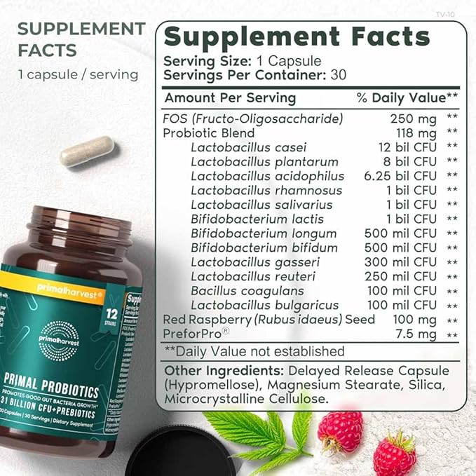 Primal Harvest Probiotics for Women and Men Shelf-Stable with Prebiotics Daily Supplement for Adults 60 Capsules (2 Pack)