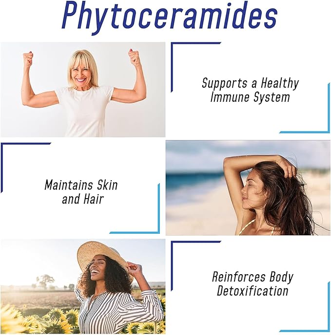 We Like Vitamins Phytoceramides 700mg - 200 Capsules All Natural Wheat Free and Plant Based - Phytoceramide Supplement - Skin Supplement for Women - Ceramides for Skin Hydration, Repair, Rejuvenation