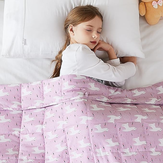 L'AGRATY Weighted Blanket - 36"x48" 3lbs Microfiber Material with Glass Beads Small Blanket for All-Season Summer Fall Winter Soft Thick
