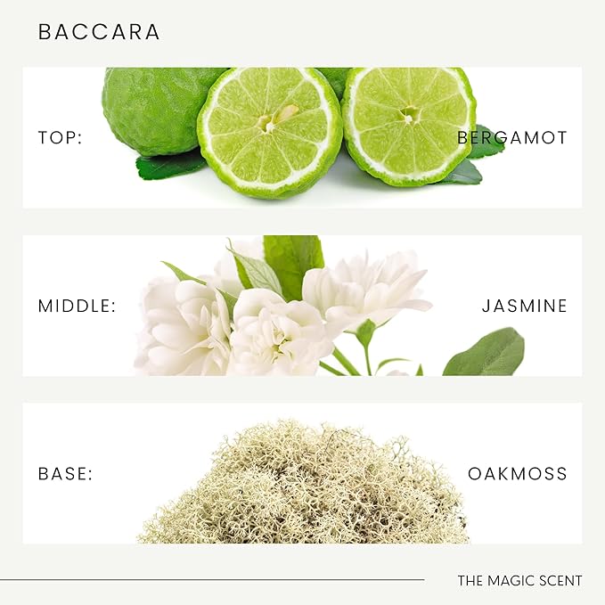 The Magic Scent Baccara Diffuser Oil - Hotel & Home Luxury Scents Inspired by Baccarat Rouge - Diffuser Oil Scents for Home Designed for Use in All Diffusers - 8.5 fl oz, 250 mL
