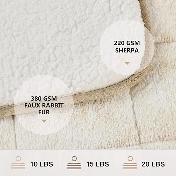 Homemate Heated Weighted Blanket for Adults - 50"x60" 10lbs Electric Throw Fast Heating Heavy Blanket 1/2/4/6/8 Hour Auto Off 10 Heat Levels Over-Heat Protection Luxury Faux Fur Sherpa