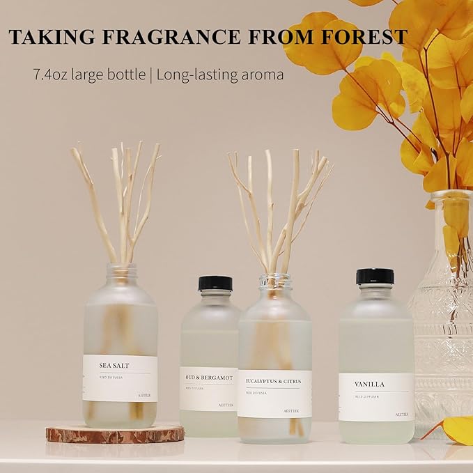 Sea Salt Reed Diffuser Set of 2-14.8 oz(220mlx2) Sea Salt Musk and Grass Essential Oils, Bathroom Air Freshener with Willow Branches Decor, Long Lasting Fragrance for Home, Office