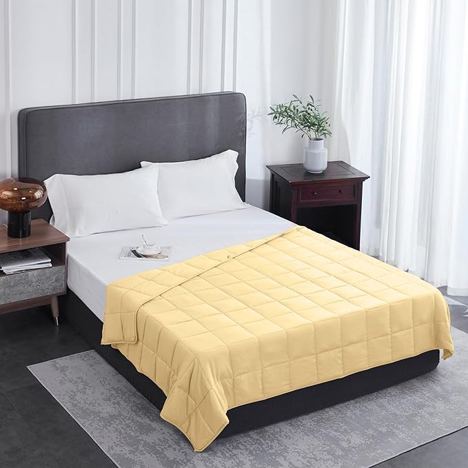 L'AGRATY Weighted Blanket - 48"x72" 20lbs Cooling Breathable Heavy Blanket Microfiber Material with Glass Beads for Adult All-Season Summer Fall Winter Soft Thick Comfort