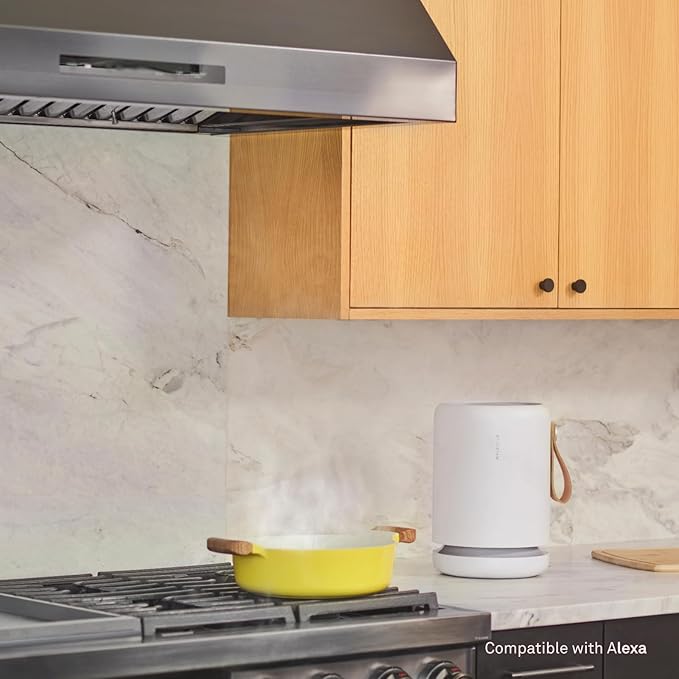 Molekule Air Purifier Mini+ - Purifies Rooms Up to 250 Sq Ft - Smart Purifier with High Pollutant Capture Rate - Air Quality Monitoring Capabilities - White
