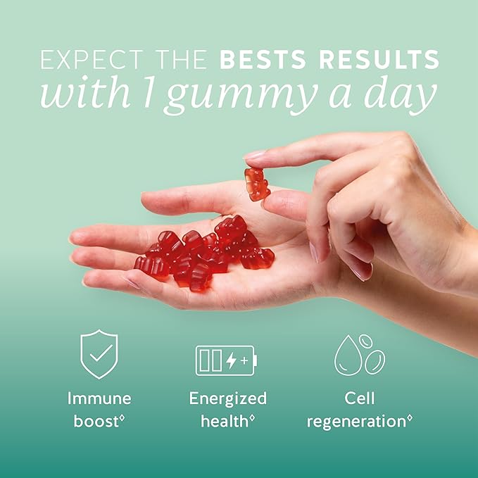 Bears with Benefits Immune Support Gummies – Vitamin C, D, B6 & B12 – Daily Immune Boost – Vegan, Naturally Flavored (30 Gummies)