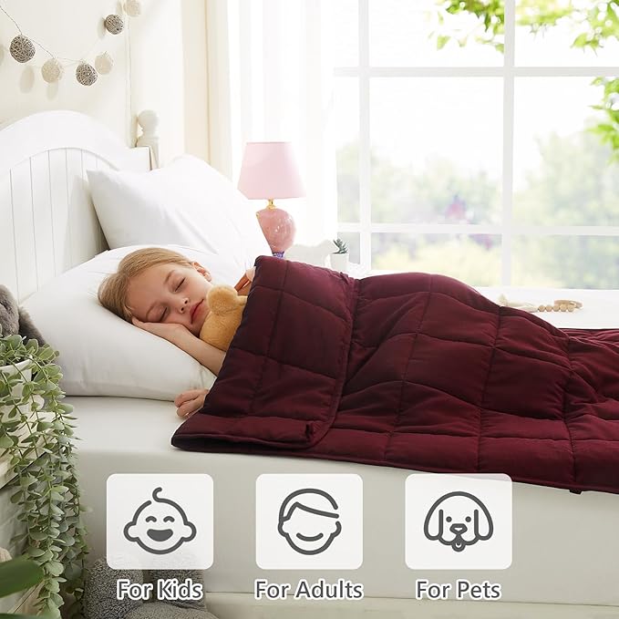 L'AGRATY Weighted Blanket - 40"x60" 10lbs Cooling Breathable Heavy Blankets Microfiber Material with Glass Beads for Adult All-Season Summer Fall Winter Soft Thick Comfort