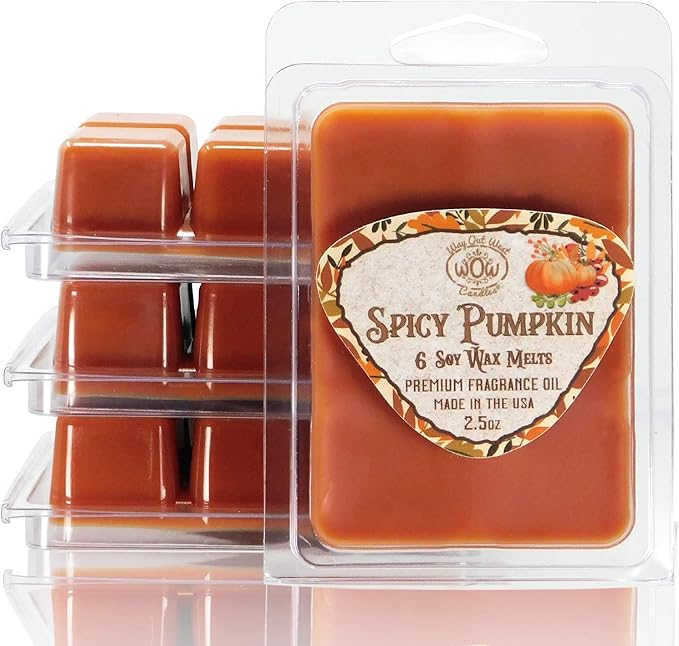 Scented Wax Melts - Highly Fragrant Air Freshener - 4 Pack Set of 6 Melt Cubes (4, Spicy Pumpkin)