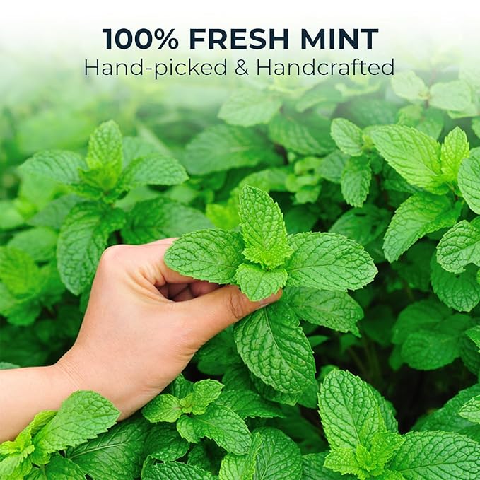 INJOY YOUR VITALGRI:N Peppermint Tea Bags - 55 Count (+5 Tea Bags) Bamboo Tong Included - 5.96 oz, Re-Steep Herbal Tea, Cool Fresh Breath, Warm Heat, Stomach Relief, Relax, Digestive Support, Mint