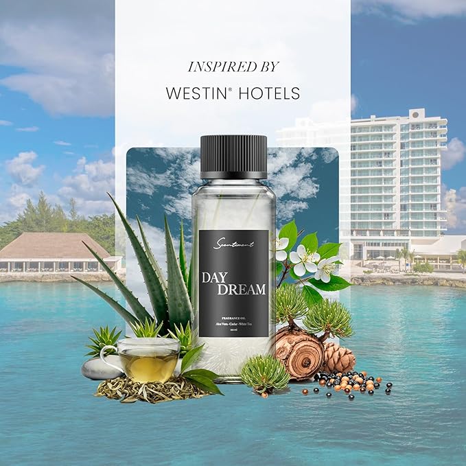 Scentiment Diffuser Oil - Day Dream | Inspired by Westin® Hotel White Tea Scent | Aromatherapy Home Fragrance| Luxurious Scent with Notes of Aloe Vera, Cedar, White Tea (50ml)