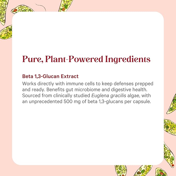 PURE SYNERGY SuperPure Beta 1,3-Glucan Extract | 500 mg Beta 1,3-Glucan Supplement from Algae | Yeast-Free, Non-GMO, Standardized Extract | Supports Immune Health & Digestion (60 Capsules)