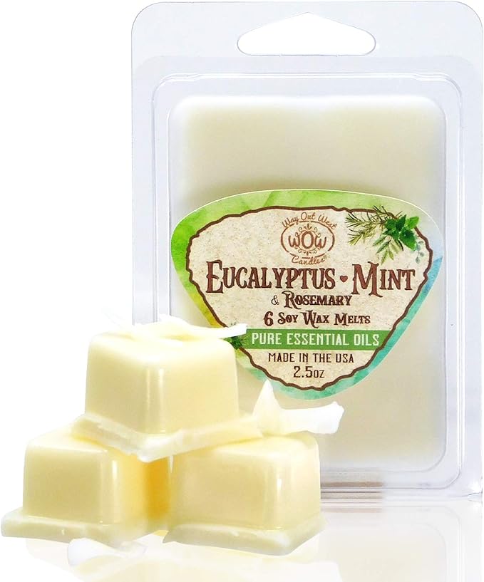 Scented Wax Melts for Wax Warmers - Highly Fragrant Air Freshener - 4 Pack Set of 6 Melt Cubes with Essential Oils - Made in USA by Way Out West Candles (4, Eucalyptus Mint)