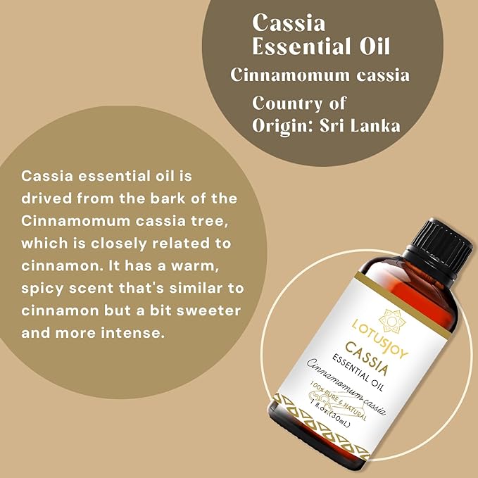 Cassia Cinnamon Frankincense and Myrrh Essential Oil with Roll-On Bottle, 3 Oz