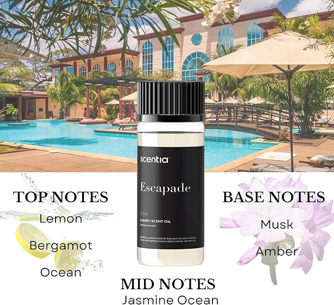 Scentia My Way Hotel Diffuser Oil | Aromatherapy Fragrances Inspired by 5-Star Hotels | Luxurious Scents Gift Box Set - 3 x 50ml Bottles Set - The 1 Hotel Miami Beach, W Magic