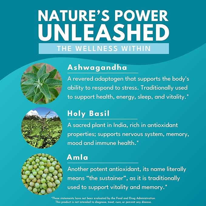 Bold Botanica Ashwagandha Plus – Stress, Mood, Memory & Energy Support – Potent Extracts of Root and Leaf with Amla & Holy Basil – Triple Adaptogenic Formula – One Capsule Daily – 30 Vegan Caps