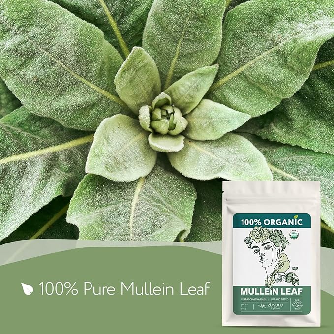 Super Value Pack 5 LB - Organic Mullein Leaf β Loose Dried Leaves β Edible Grade for Tea, Infusions, Tinctures