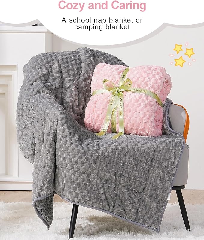 Super Soft Luxury Fleece Sherpa Weighted Blanket for Teens, 7lbs Small Weighted Lap Blanket for Adult, Turtle Shell Cozy Warm Throw for Winter, Compact Heavy Blanket for Sleep & Travel, Pink, 41"x60"