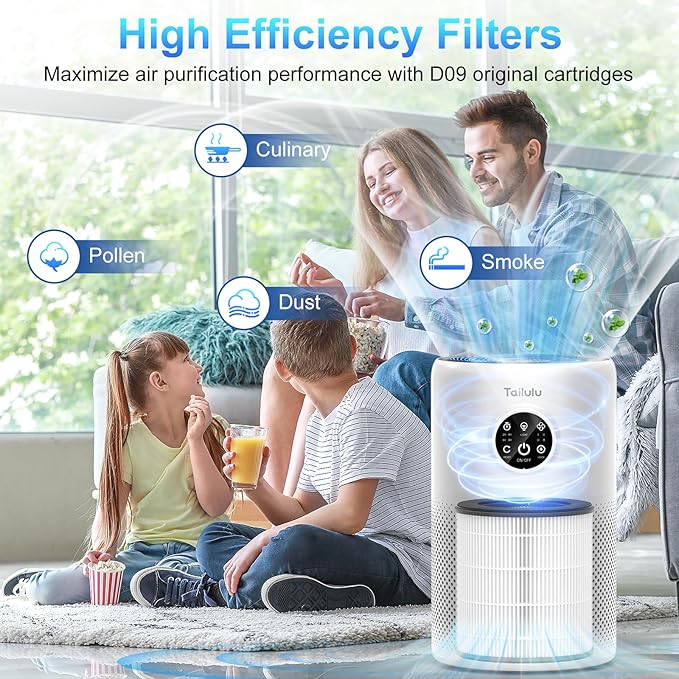 Tailulu D10 Replacement Filte, Air Purifier Filter for Tailulu D10 Air Purifier, 3-in-1 H13 Grade True Replacement Filte, D10 Replacement Filter 1 Pack