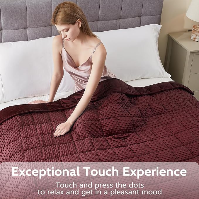 L'AGRATY Weighted Blanket - 48"x72" 10lbs Minky Dots Heavy Blanket with Glass Beads Soft Breathable for All-Season Summer Fall Winter Thick Comfort for Sleeping
