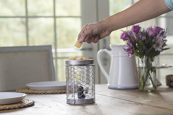 Candle Warmers Etc. Vintage Bulb Illumination Fragrance Warmer- Light-Up Warmer for Warming Scented Candle Wax Melts and Tarts to Freshen Room, Chicken Wire Silver