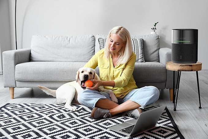GermGuardian Airsafe+ Air Purifier for Home, for Wildfire Smoke, Pets, Pollen, Odor, Large Rooms Up To 1043 Sq. Ft. with HEPA Pure Air Filter, UV-C Light & Air Quality Sensor, 12", AC3000B, Black