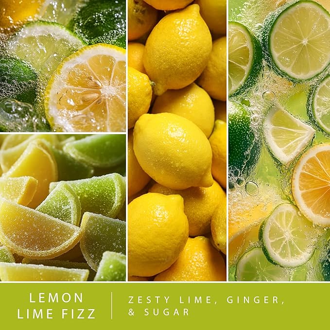 Scentsationals Wax Melts, Wax Cubes Strong Scent – Soda Collection Lemon Lime Fizz – Long Lasting Scented Melts for Warmer, 10oz (24-Cubes)