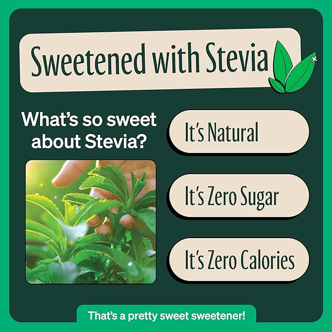 Zevia Zero Sugar Tea, Green Tea, 12 oz Cans (12-Pack) – Naturally Sweetened, Zero Calorie Sugar Free - Non-GMO Project Verified, Gluten-Free, Vegan