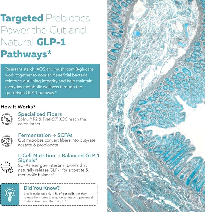GLP-Pre™ – Optimized Prebiotic Fiber Complex - Gut-Microbiome Optimization for Natural GLP-1 Pathway Support & Metabolic Wellness - Includes Clinically Studied Non-Digestible Fibers - 30 Servings