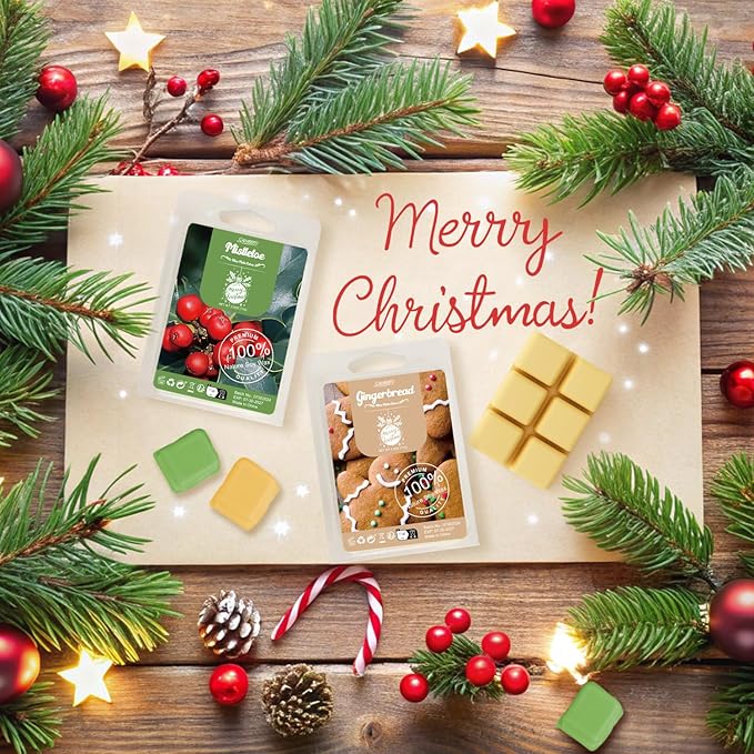 SALUBRITO Christmas Scented Wax Melts, Strong Scented Soy Wax Cubes/Tarts Variety Set - Apple Cinnamon, Gingerbread, Christmas Tree, Pudding, Sugared Cranberry, Candy Cane, Mistletoe, Chocolate Cake
