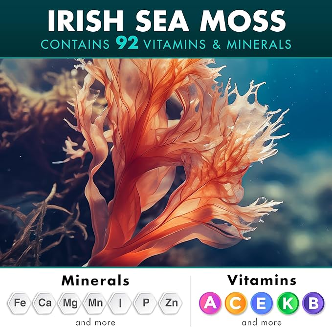 Irish Sea Moss Black Seed Oil Ashwagandha Ginger, 20,000mg Capsules, Seamoss Black Seed Oil Ashwagandha Burdock Root, All in One Supplement, 120 Capsules
