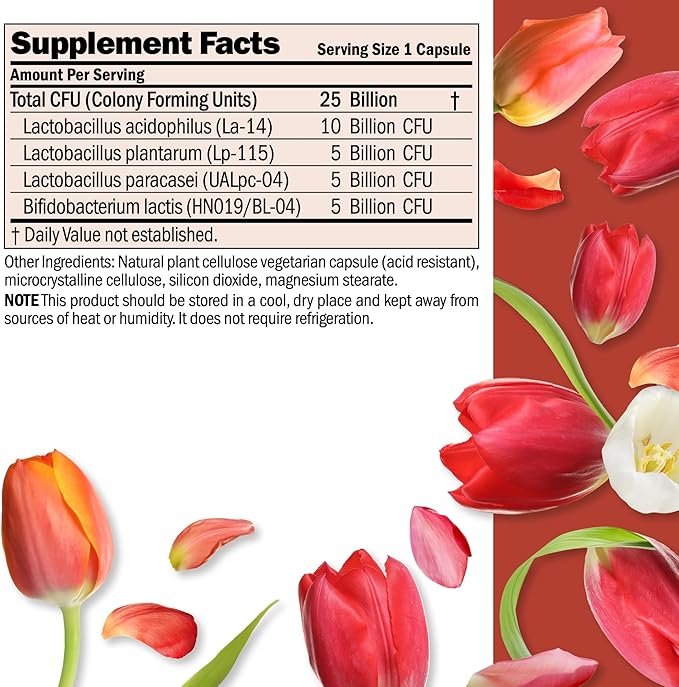 ANDREW LESSMAN Ultimate Friendly Flora Probiotic 30 Capsules - 25 Billion CFU, Comprehensive Blend of Five Probiotic Strains, Powerful Immune and Digestive Support. Probiotics for Women or Men