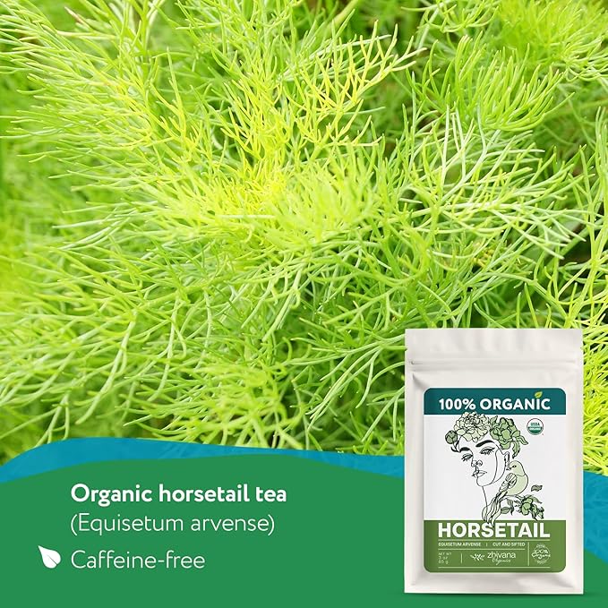 Organic Horsetail (4 oz.) (Equisetum arvense) β Loose Dried Herb β Edible Grade for Tea, Infusions & Herbal Blends - Cola de Caballo Hierba