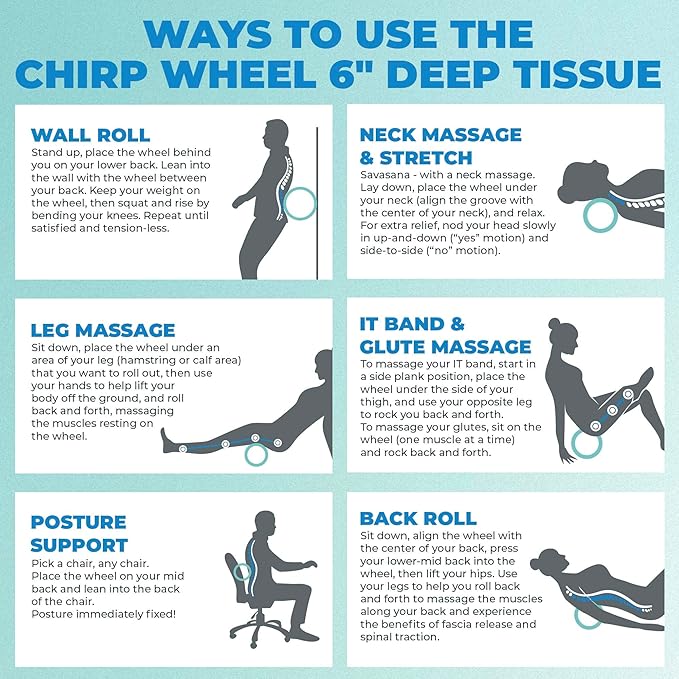Chirp Wheel Foam Roller – Targeted Back & Neck Relief, Lumbar Spine Stretcher, Spinal Decompression Back Stretcher, Massage Roller with Density Foam for Physical Therapy, Supports 500lbs, 6-Inch Mint