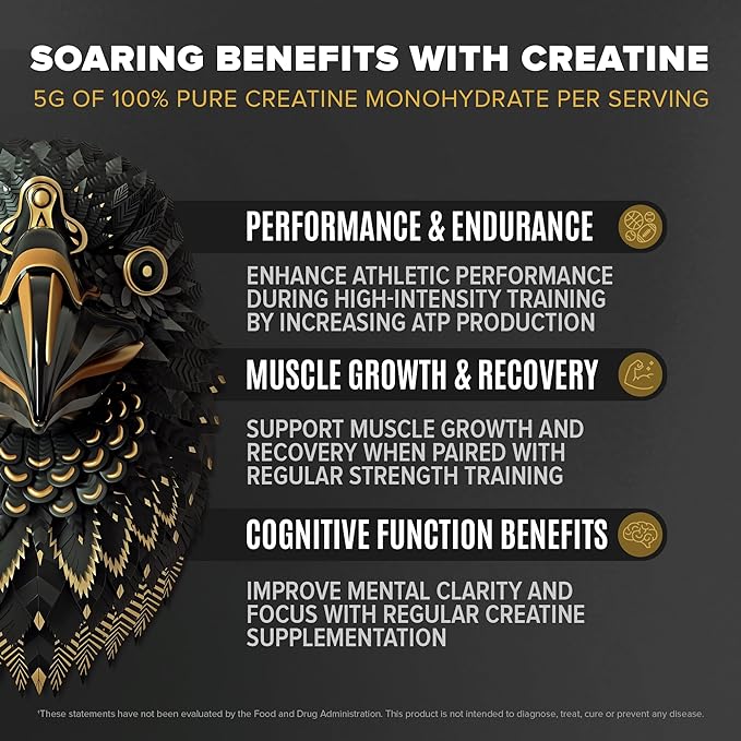 Falcon Performance Vegan Protein Powder, 31g Protein, 5g Creatine, 5g BCAA, Probiotics, Electrolytes, Pre Workout, Low Carb, Sugar Free & Dairy Free, Plant Based Vanilla Protein - 49 Servings